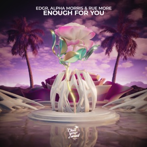 Enough for You