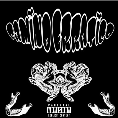 Camino Errático - Single