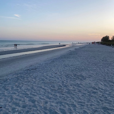 Single in Havana (feat. Bona) [Remix] - Single