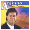 Conselho ao Filho Adulto cover art