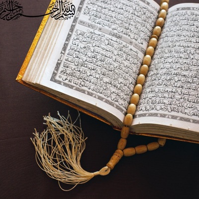 محمد حسان - النداء التاسع