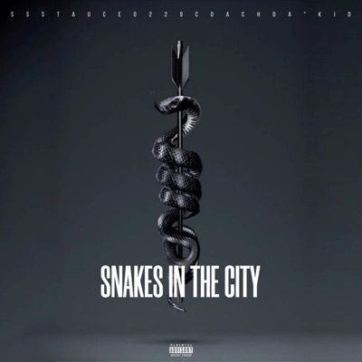 snAKes IN the city (feat. COACH DA'KID & 0229) - Single