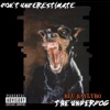 UnderRated UnderDog - Single