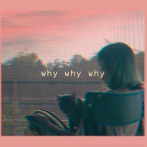 Why Why Why - Single