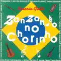 BRASILEIRIN