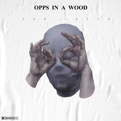 OPPS IN A WOOD - Single