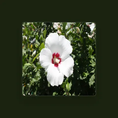 Listen to Sharon S. Johnson, watch music videos, read bio, see tour dates & more!