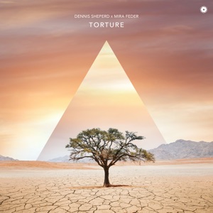 Torture - Single