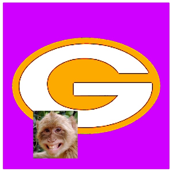 Greenbay Pakcers Aron Rogers