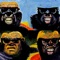 Gorilla - Tarek K.I.Z & Drunken Masters lyrics