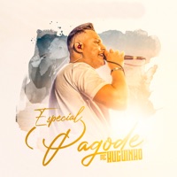 Especial Pagode (10 Anos de Carreira) - EP - Mc Huguinho