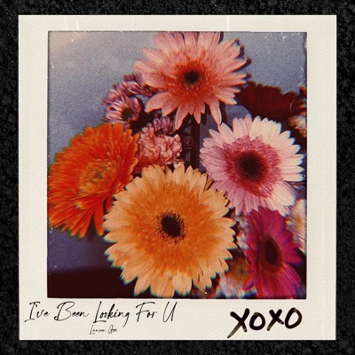 I've Been Looking For U - Single