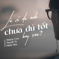 Là vì do anh chưa đủ tốt hay sao ? (feat. Thanh Ty, Minh Huy) - Single - Thắng Con