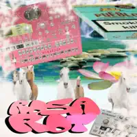 Rosa Rot — 3LNA