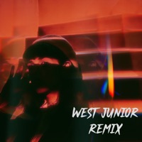 Вернуться домой (West Junior Remix) - Single - Lely45