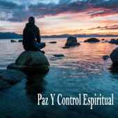 Paz Y Control Espiritual artwork