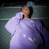 Roses - Single - Indigo 13