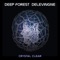 Crystal Clear (feat. Olivier Delevingne) - Deep Forest lyrics