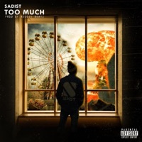 Too Much (Radio Edit) - Single - Sadist