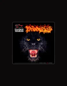 Escucha a Panteras Negras, mira vídeos musicales, lee la biografía, consulta fechas de giras y mucho más.