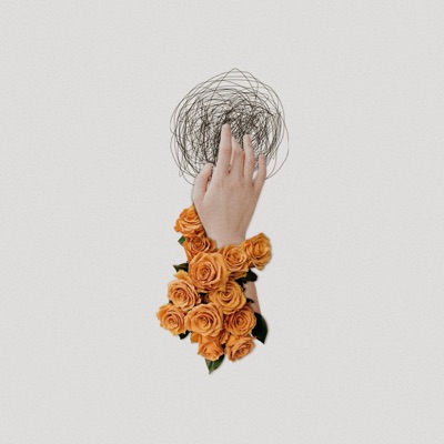 Flower In the Mirror, Moon On the Water