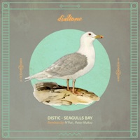 Seagulls Bay - Distic, Peter Makto & N'Pot