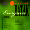 14 Lagu Hits Batak Evergreen, Vol. 1 - Various Artists