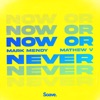 Now or Never - Single