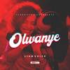 Liam Voice - Olwanye artwork