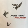 Ptice Padajo - Single