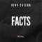 Facts - King Caelan lyrics
