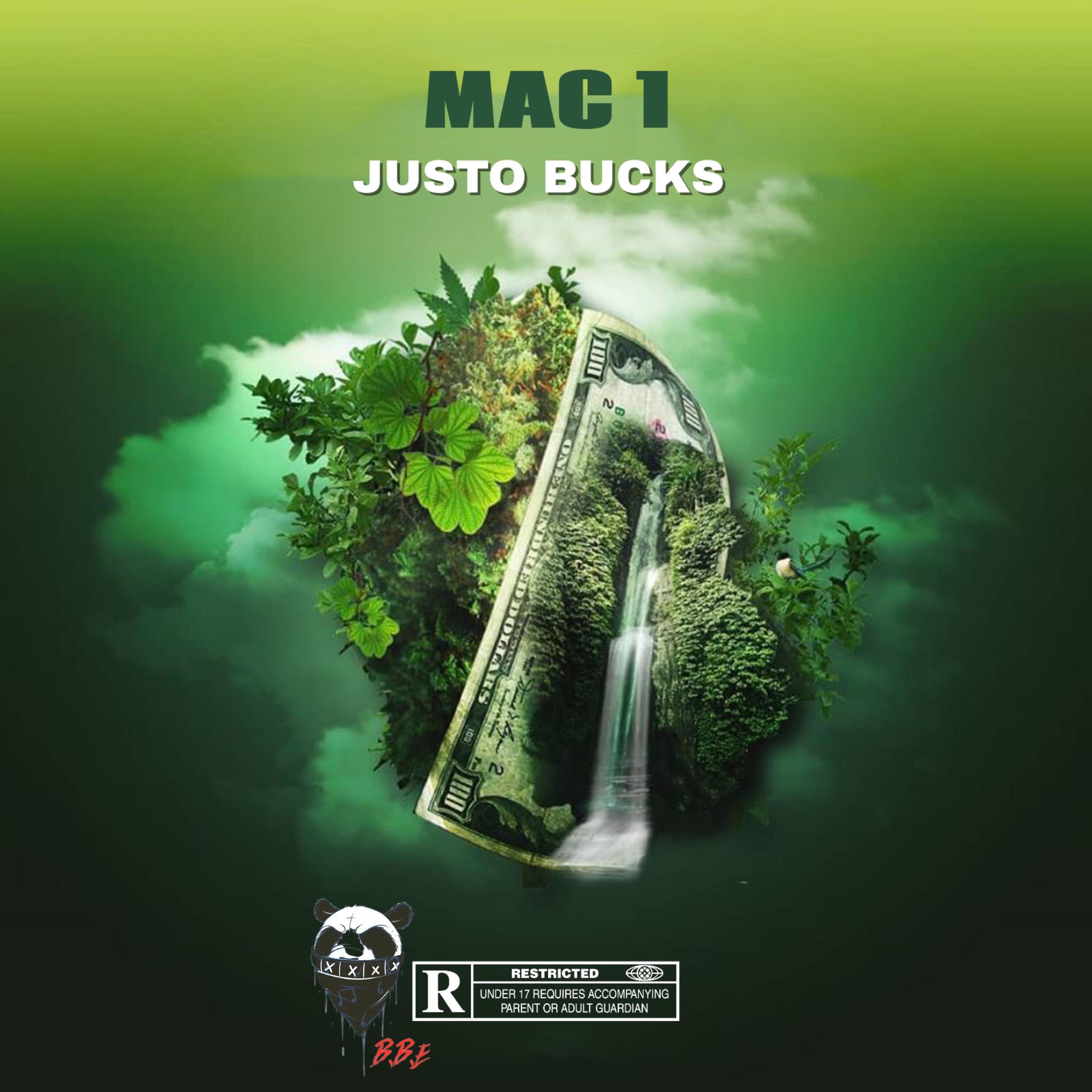 Justo Llecllish M. - mAxima 1