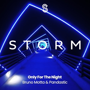 Only for the Night - Single