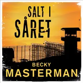 Salt i såret: Brigid Quinn 3
