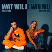 Wat Wil Je Van Mij - Metejoor &amp; Hannah Mae Cover Art