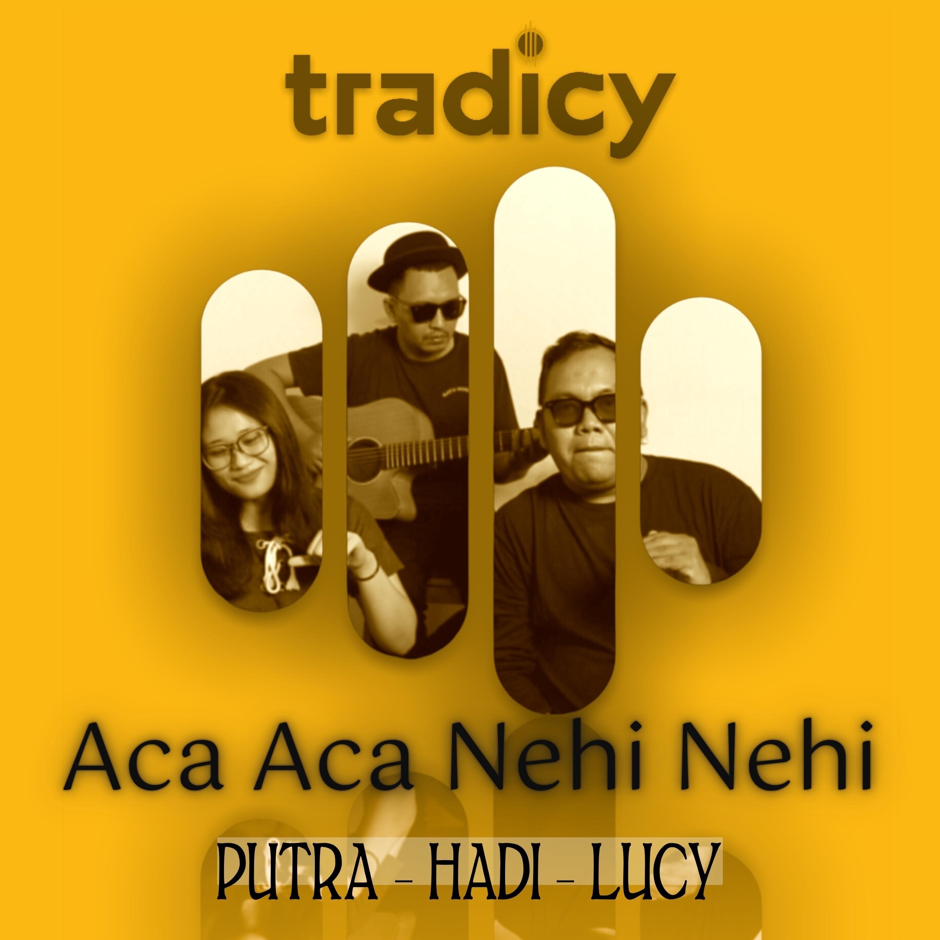 Aca Aca Nehi Nehi - Single