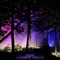 Ambient Nights - XC10 lyrics
