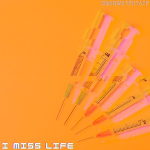 I Miss Life