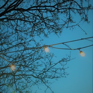 Luxembourg Antennae (feat. Bill Heminway & Jeremy Harlos) - EP