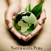 Naturaleza Pura - Sonidos Relajantes de la Naturaleza con Música New Age Calma y Tranquila para Paz Interior - Naturaleza