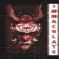IMMACULATE (Remixes) - Single - VISXGE