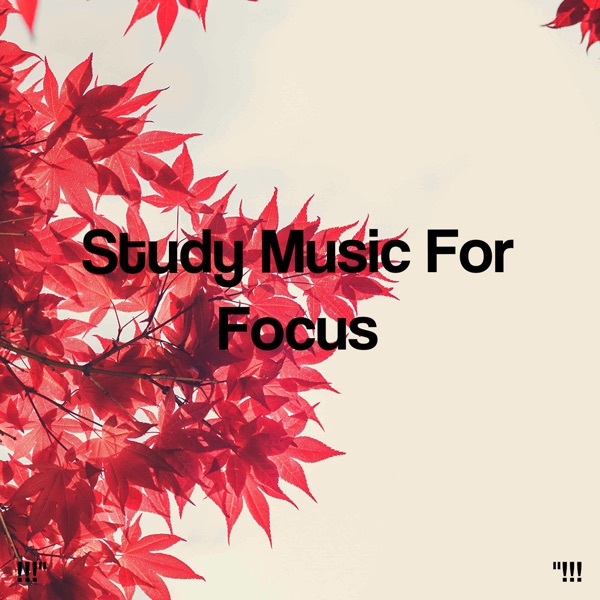 !!!" Study Music for Focus "!!!