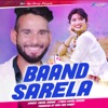 Baand Sarela (feat. Vikas Khatri) - Single