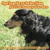 Spring Jazz Selection Jazz at Sunny Garden artwork