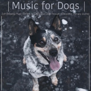 Music for Dogs