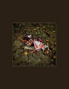 Ouça Himself & Those Around, assista a videoclipes, leia a biografia, veja as datas das turnês e mais!