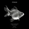 X Riddim (Ayako Mori Remix) - Dorian Parano lyrics