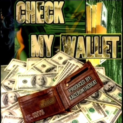 Check My Wallet - Single