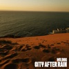 City after rain - Single