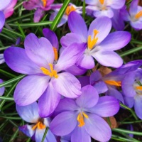 It Might as Well Be Spring - Single - Rob Wallace